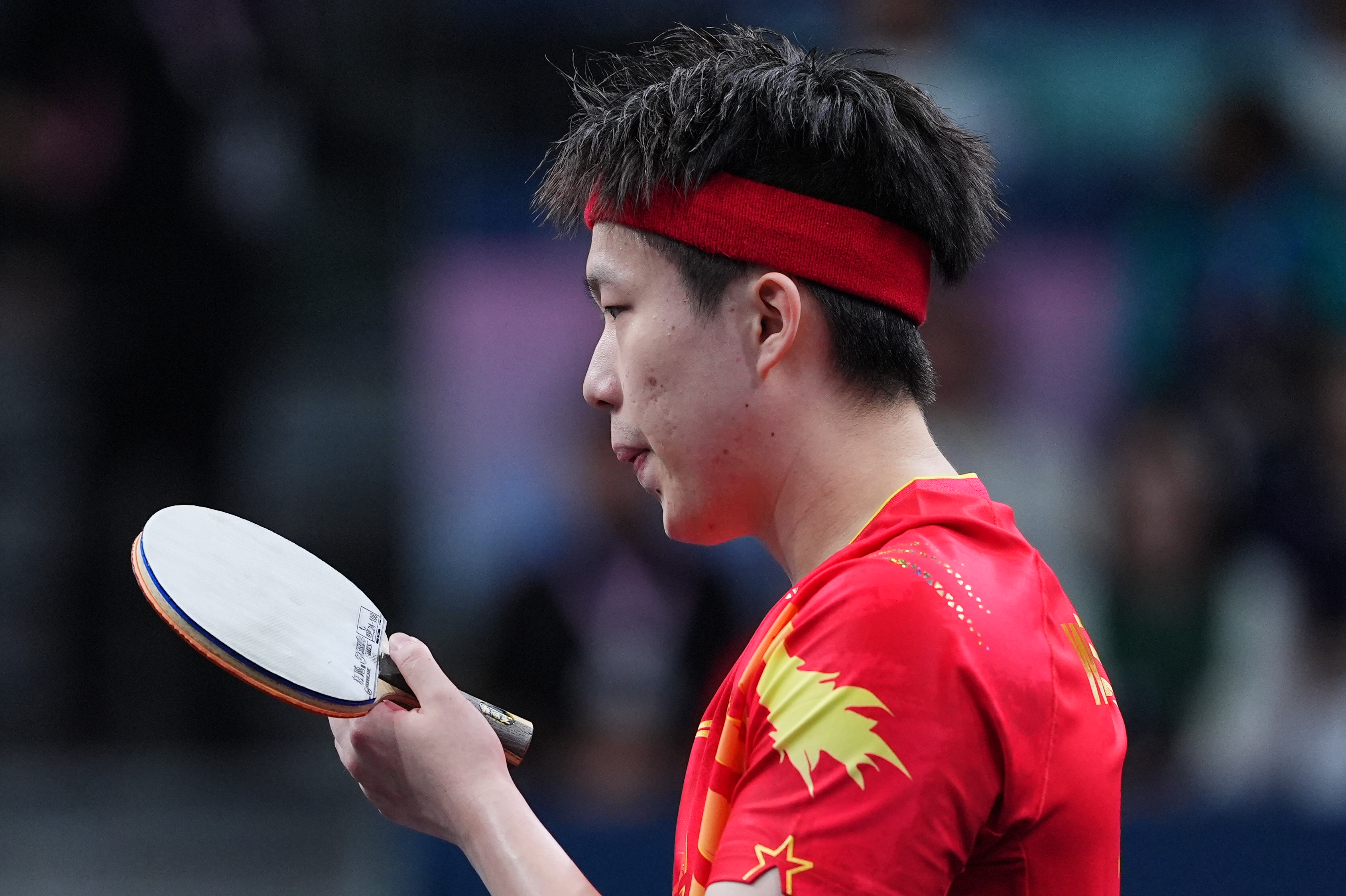 日本乒乓球队完胜瑞典乒乓球队，水谷隼绝境逆转的简单介绍