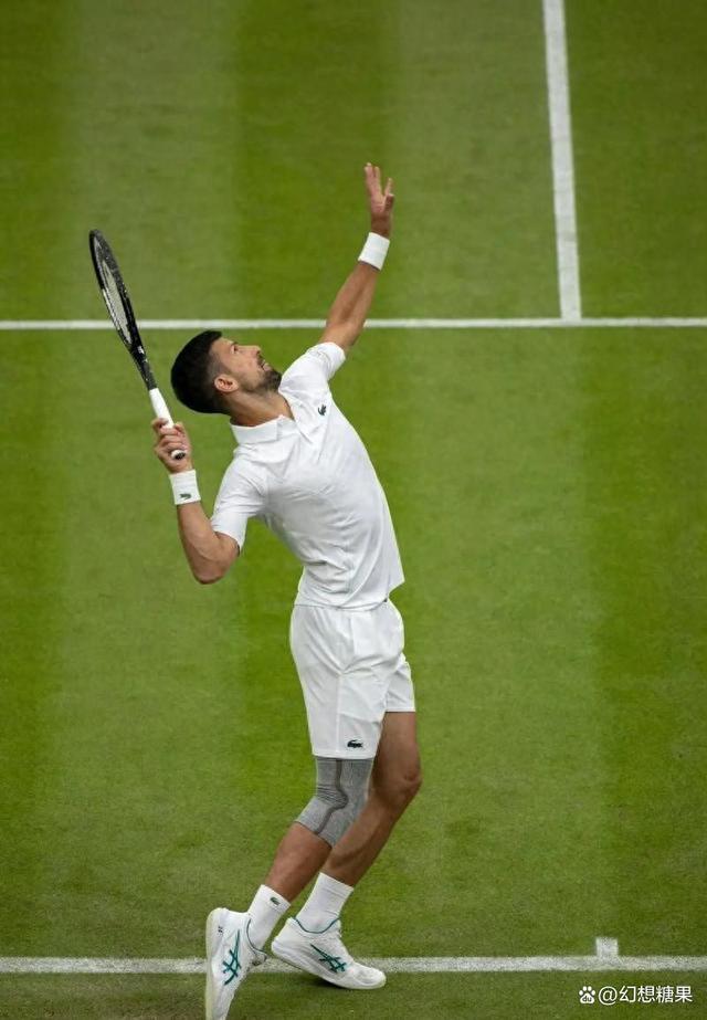 温网险胜蒙特卡洛大师赛，梅德韦杰夫状态火热的简单介绍