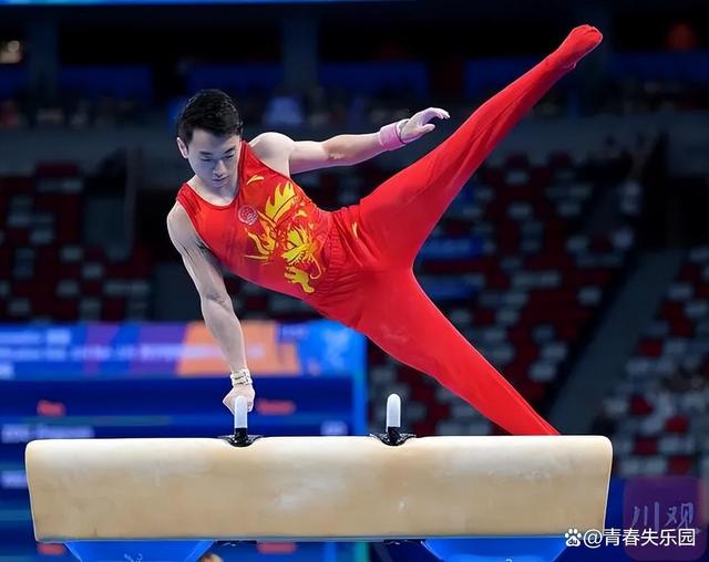 关于体操队总指挥直播比赛，忍耐坚持的信息