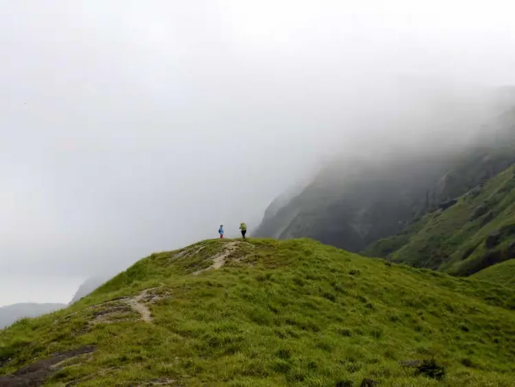 关于绿黑队伍在比赛中斩获胜利，一路领先的信息