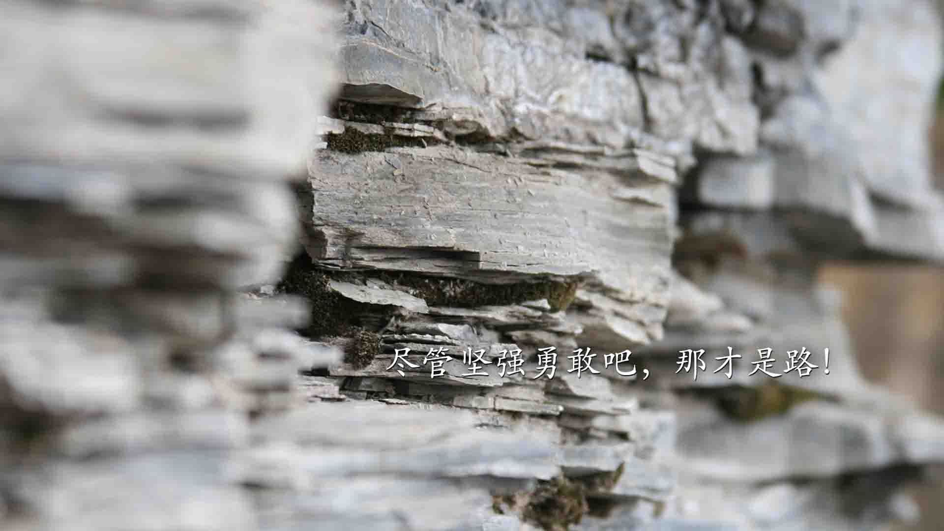 绿茵场上的东方奇迹,中国生死战力克尤文,姆巴佩里程碑之夜的双重震撼