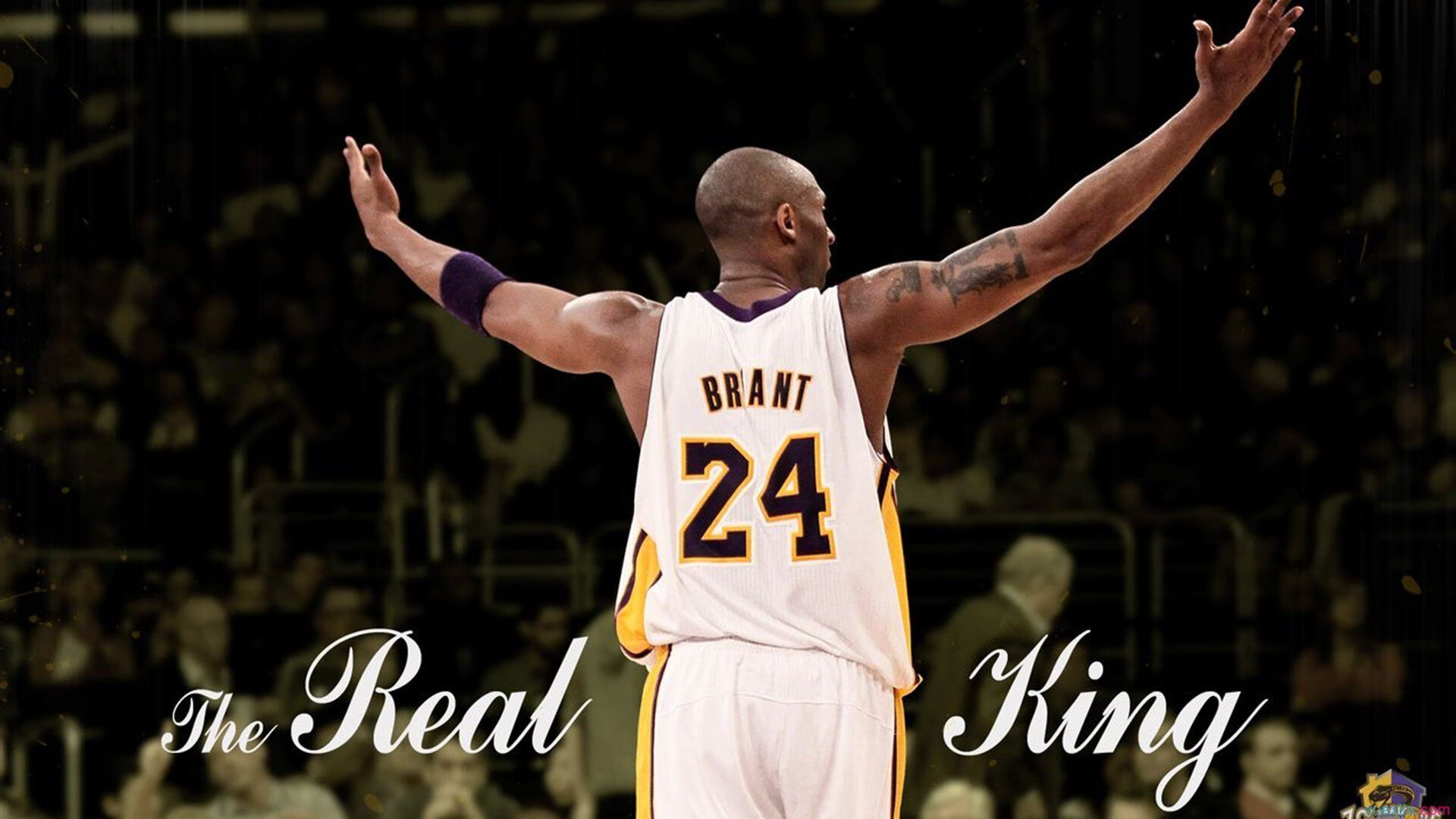 塞维利亚封锁伊朗，楚阿梅尼在奥运周期关键战接管比赛